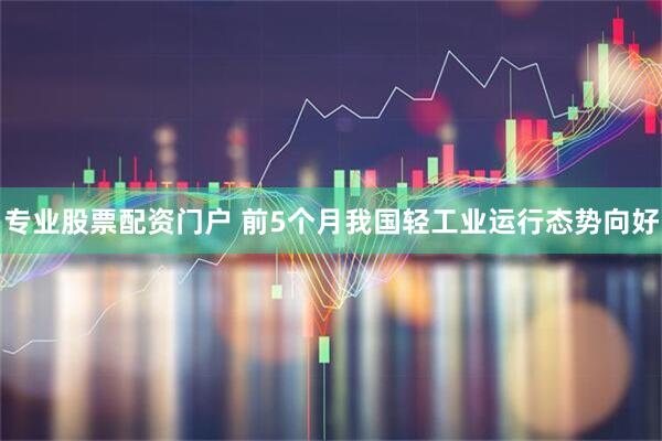 专业股票配资门户 前5个月我国轻工业运行态势向好
