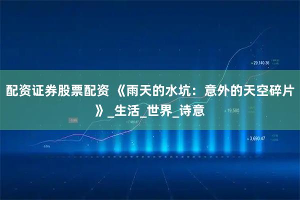 配资证券股票配资 《雨天的水坑：意外的天空碎片》_生活_世界_诗意